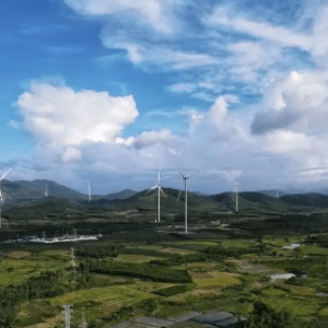 国际能源网-风电每日报丨3分钟·纵览风电事！（1月21日）