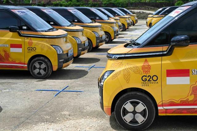从G20到世界杯，中国新能源汽车何以一马当先？|新京智库